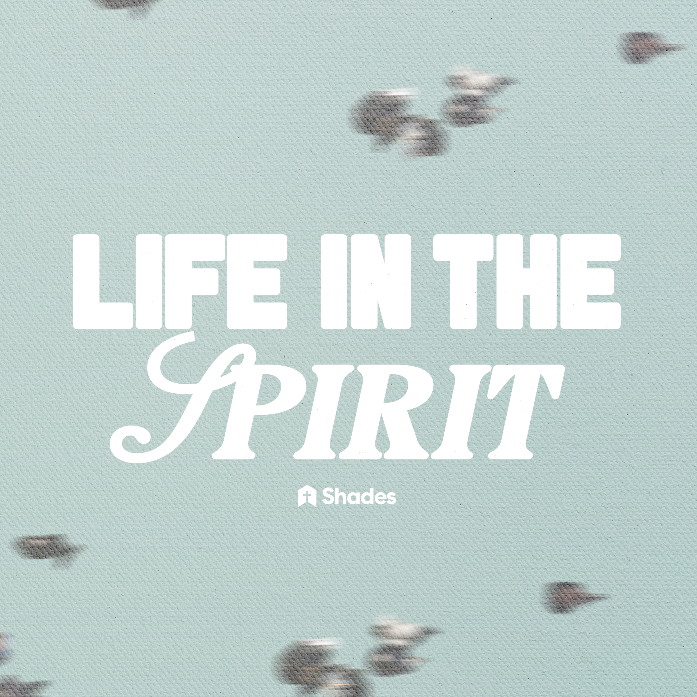 Life In The Spirit | Different As One episode artwork